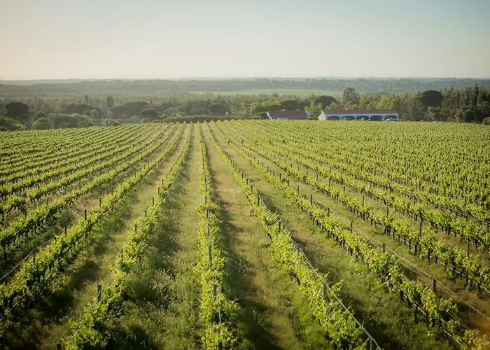 Alloggio per agriturismo Monte Do Lago, *